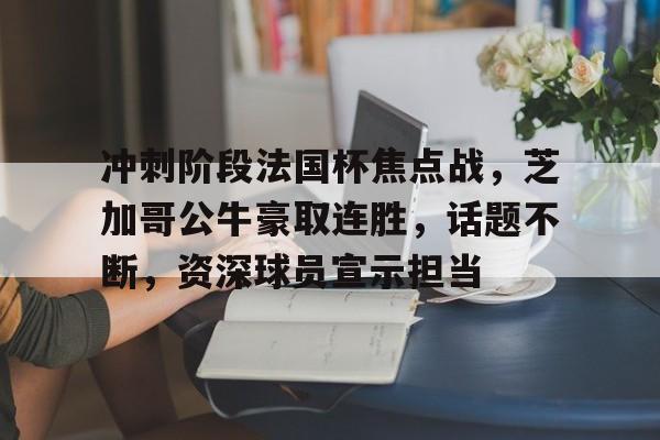 真人娱乐-关于冲刺阶段法国杯焦点战，芝加哥公牛豪取连胜，话题不断，资深球员宣示担当的信息